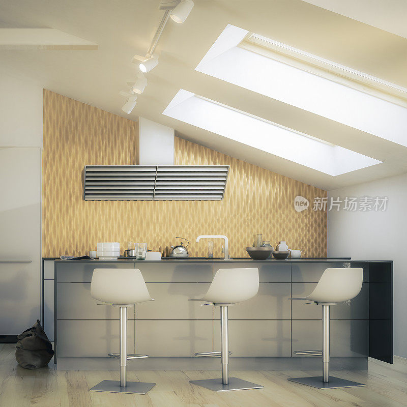 宽敞的厨房适应阁楼转换- 3D可视化